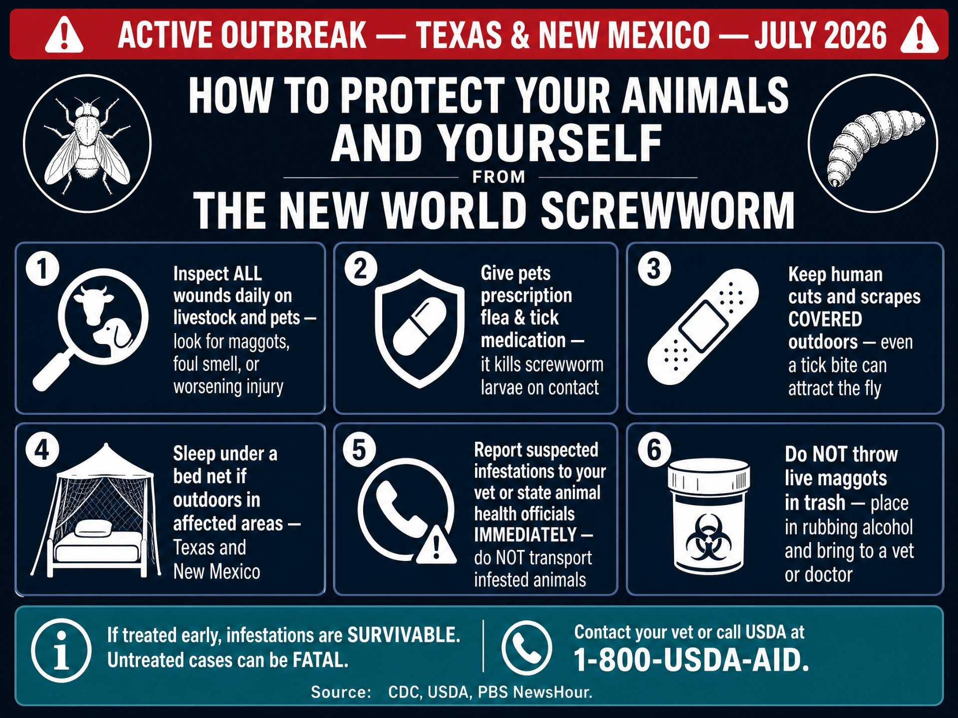 Six-step CDC and USDA infographic on how to protect animals and yourself from the New World screwworm: inspect wounds, use flea/tick medication, cover cuts, use bed nets, report infestations, and never throw live maggots in trash