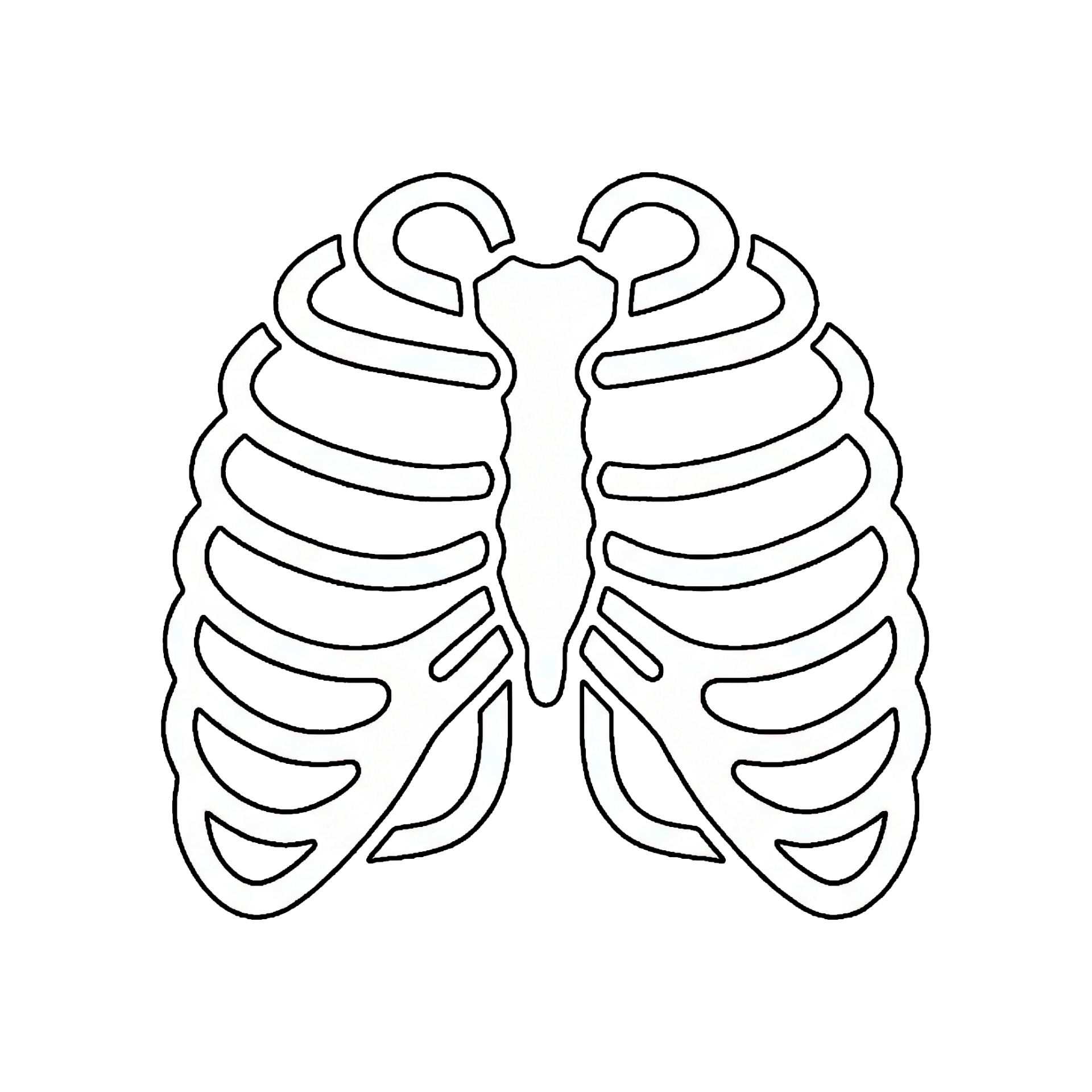 Thorax & Respiration Origins & Insertions